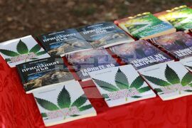 Алея на книгата 2024