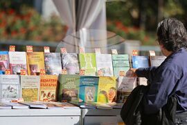 Алея на книгата 2024