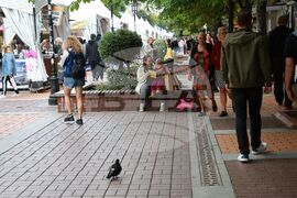 Алея на книгата 2024