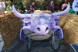 Red Bull Soapbox Race - състезание