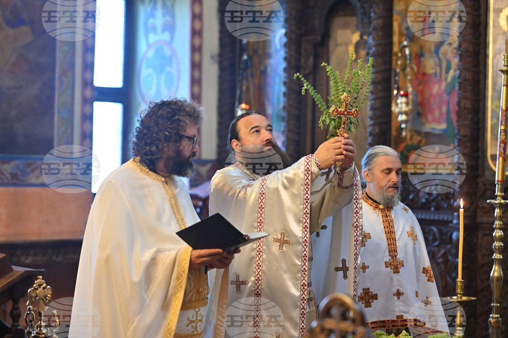 Берковица - литургия - Кръстовден