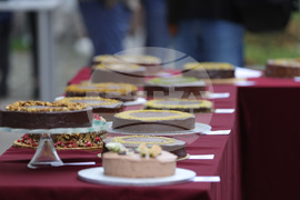 Русе - торта "Гараш" - фестивал