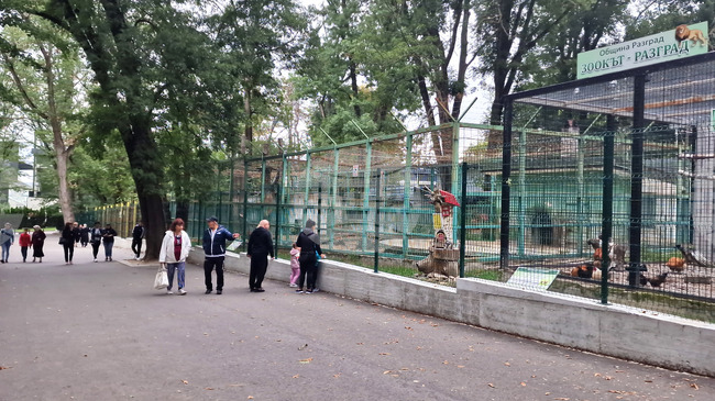 Община Разград работи по проектирането на бъдещ зоопарк, който ще служи и като спасителен център за диви животни