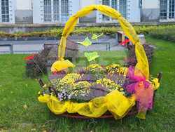 Снимка: Община Плевен