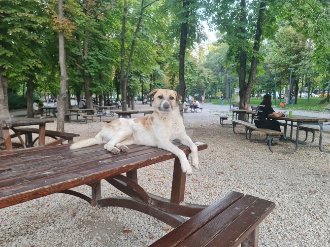 The Weather on March 22 and 23