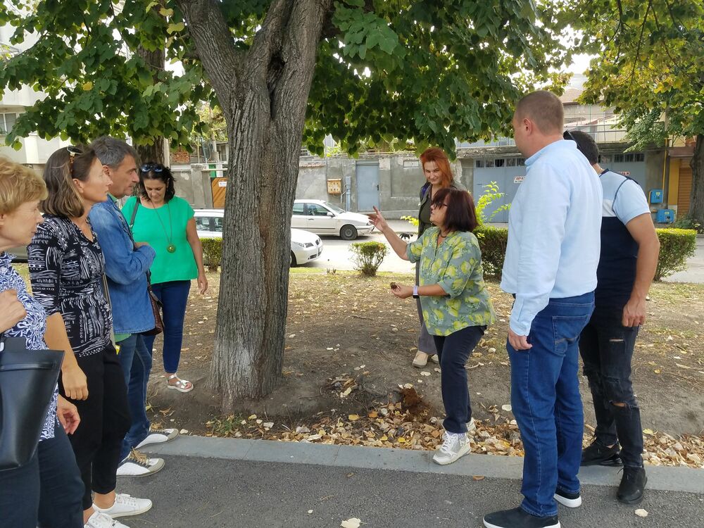 Община Русе: Научни работници разработват методика какви дървета да се садят в Русе заради климатичните промени