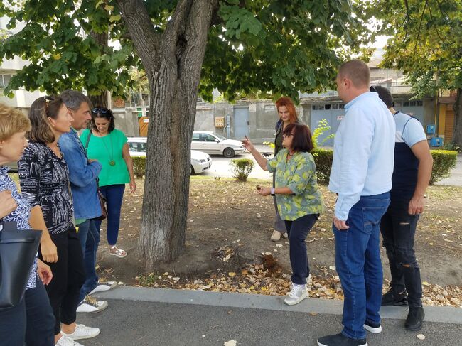 Община Русе: Научни работници разработват методика какви дървета да се садят в Русе заради климатичните промени