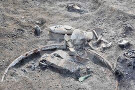 Ветрино - археология - разкопки