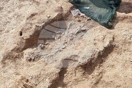 Ветрино - археология - разкопки