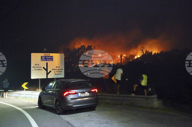 Португалия се бори с няколко пожара в северните и централните райони на страната