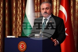 Турция - Вежди Рашидов - Мустафа Шентоп - изявления