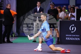 Тенис - Григор Димитров - Новак Джокович