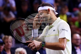 Тенис - Григор Димитров - Новак Джокович