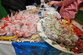 Ловеч - благотворителен базар - училище