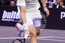 Тенис - Григор Димитров - Новак Джокович