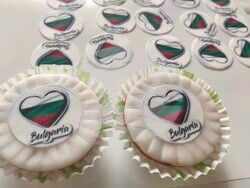 Снимка: Община Плевен