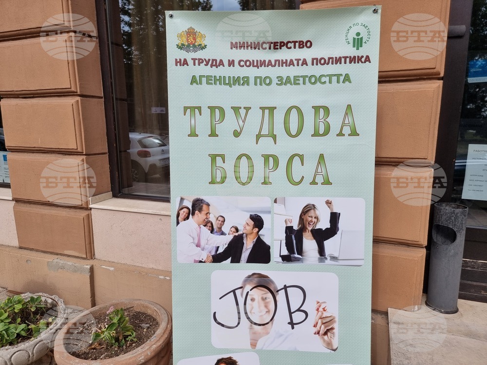 Видин – трудова борса