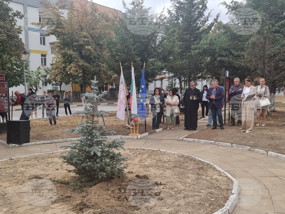 В Гулянци бе открита алея на името на Веска Радулова - кметът, при който селището е обявено за град
