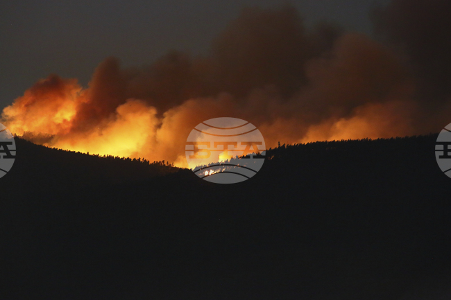 ЕФЕ: Близо 50 португалски общини са изложени на максимален риск от пожари