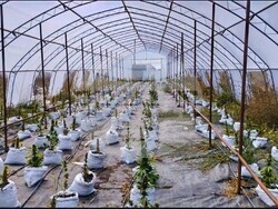 Снимка: МВР