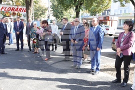 Румъния - БАН - посещение - бюст-паметник Христо Ботев