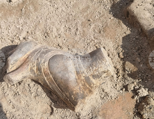 Провадия - Солницата - проучвания - находки