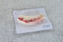 Провадия - Солницата - проучвания - находки