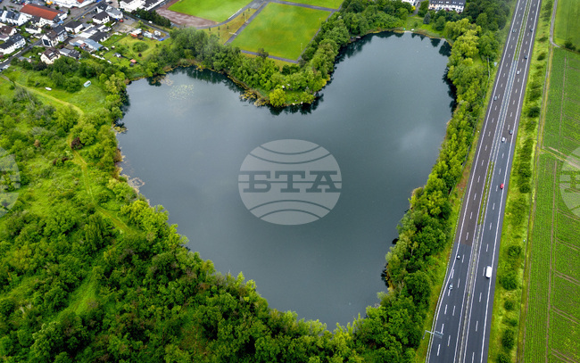 Гледката на природни пейзажи помага за намаляване на болката, установи изследване 