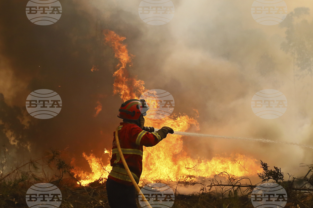 Огнеборец загина при гасене на един от горските пожари, бушуващи в Португалия