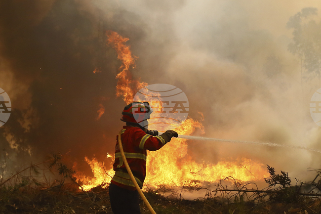 Огнеборец загина при гасене на един от горските пожари, бушуващи в Португалия