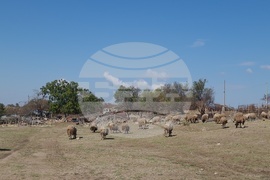 Село Равна гора - министър на земеделието и храните - фермер - подпомагане