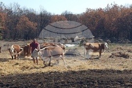 Село Равна гора - министър на земеделието и храните - фермер - подпомагане