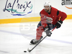 Panthers Camp Hockey