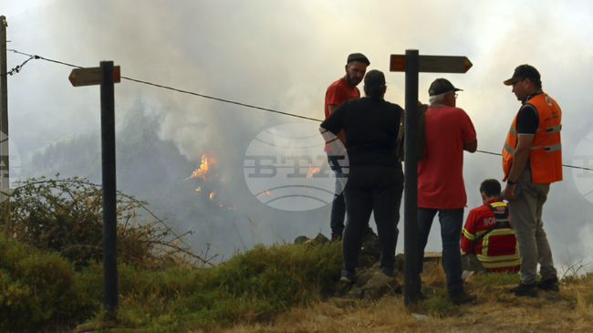 Горските пожари в Португалия взеха днес първата си жертва, съобщи пресцентърът на португалския президент