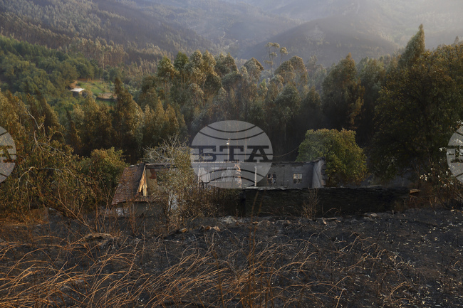 Португалското правителство издаде предупреждение за повишен риск от пожари от утре