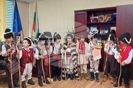 Видин - коледари