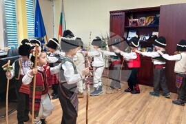 Видин - коледари