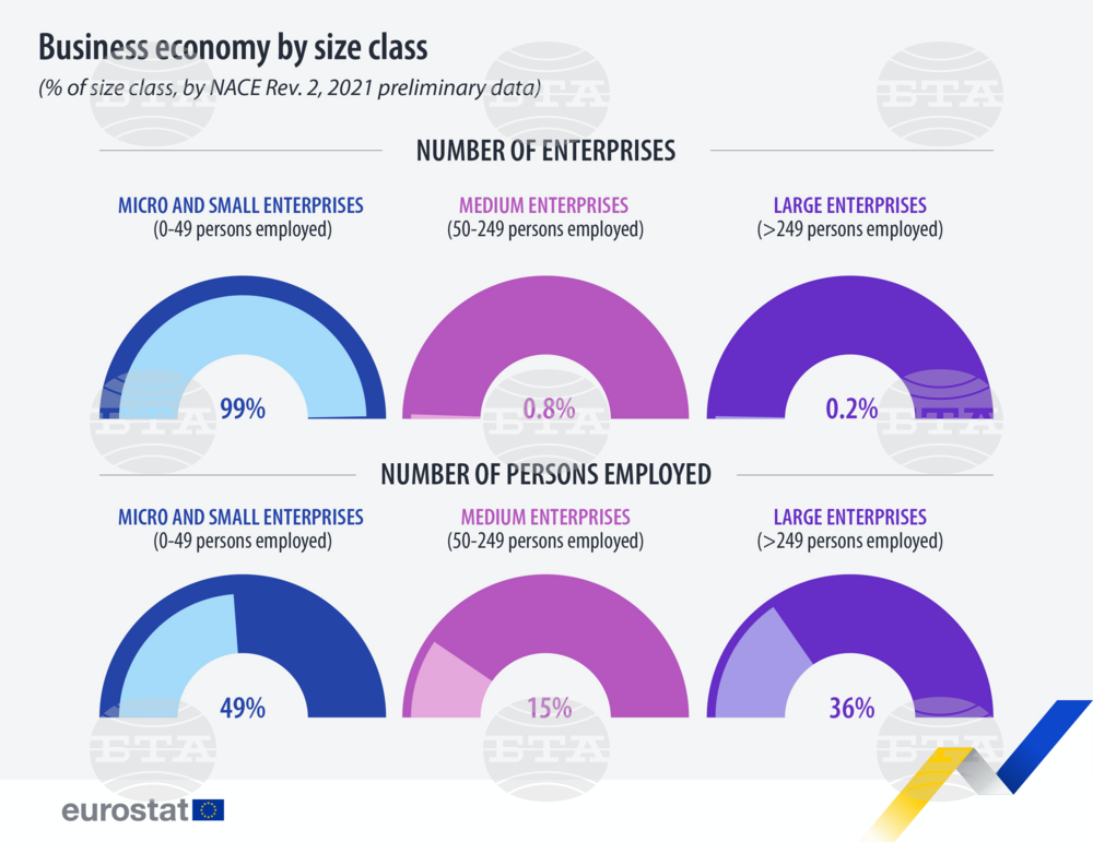 Eurostat: 99% of Businesses in EU in 2021 Were Micro and Small
