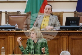 Парламент - Парламентарен контрол - Смиляна Нитова-Кръстева