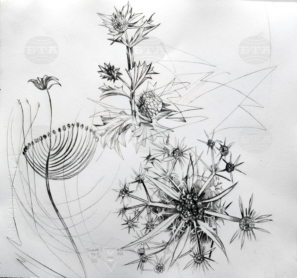 Works by 67 Bulgarian Artists on Show in 10th Small Graphic Forms Forum