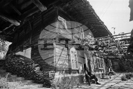 Село Катунище през 1982 година