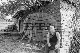 Село Катунище през 1982 година