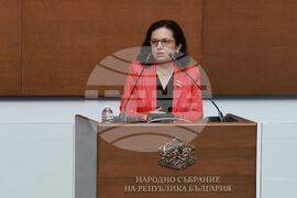 Народно събрание - парламентарен контрол - Мария Павлова
