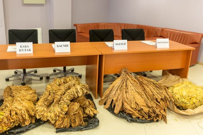 НАТ-2010: 21 декември 2022, Изкупна кампания на тютюн реколта 2022 е в разгара си