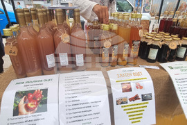 Плевен - фермерски пазар - откриване