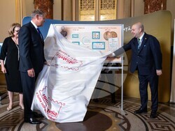 Снимка: Сметна палата