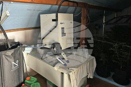 Варна - разкрита оранжерия за канабис