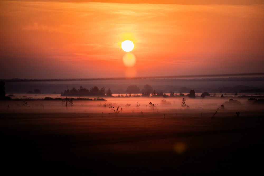 АФП: Какво се знае за големия корупционен скандал, който разтърсва Украйна