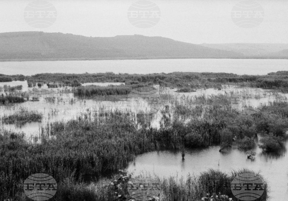September 20, 1983: Srebarna Lake Designated as Reserve