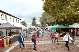 Троян - Български фестивал на сливата